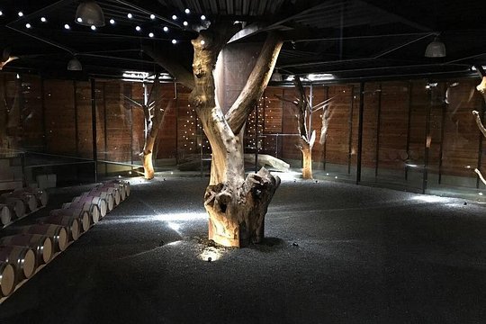Tour image 6